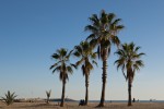 P1010198-Vilanova-i-la-Geltru-Playa-Ribes-Roges-Viajar-Comer-Amar-com