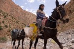 Mohamed (otro diferente) que susurraba a su mula durante todo el camino.